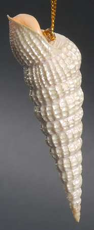 Resin Animal Ornaments Auger Shell - No Box