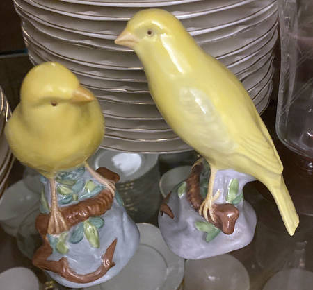 SPode Animals Yellow Canary - No Box