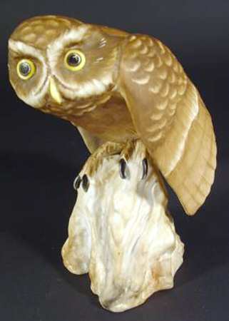 SPode Animals Owl - No Box