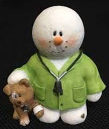 Snowonder Mr Vet - Boxed