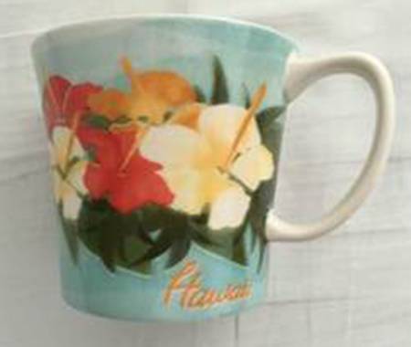 Starbucks Mugs Hawaii Hibiscus - No Box