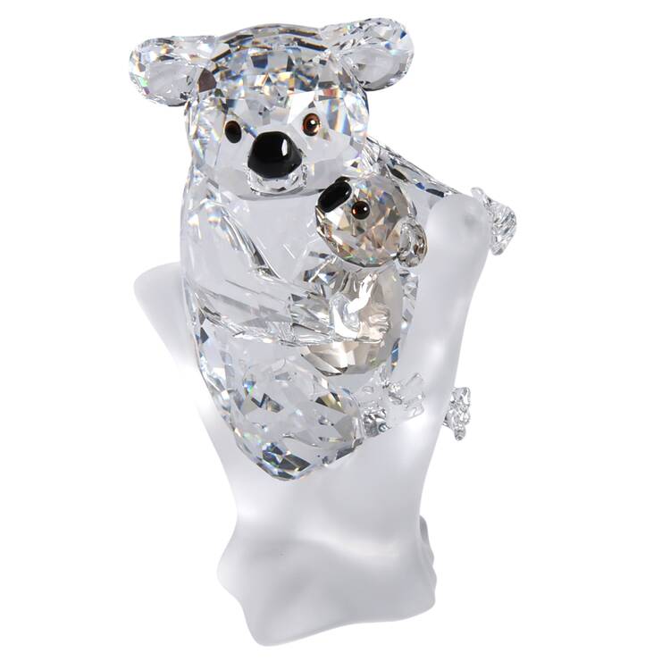 Rare Encounters Koalas - Boxed