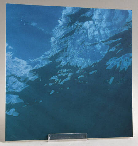 Wonders of the Sea Trilogy - SCS Community Backdrop Only - No Box