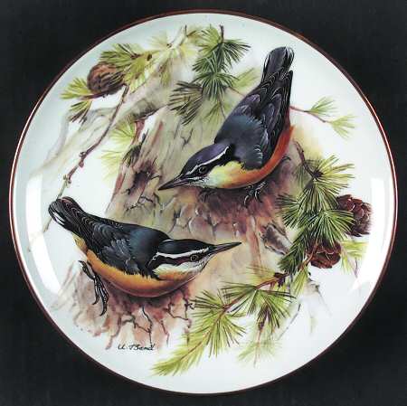 Band's Songbirds of Europe by Tirschenreuth