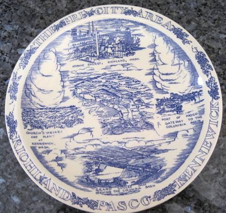City Plates Tri City Area-Washington - No Box-Washington Motif 5/Blue