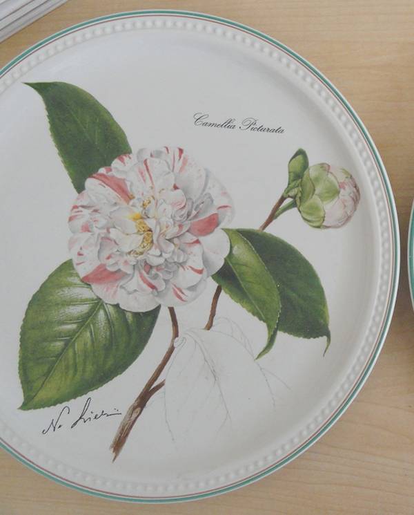 Villeroy & Boch Plate Cemellia Picturata Plate 1982 - No Box