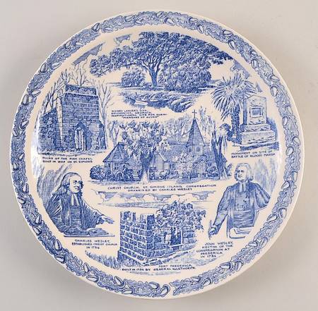 Parks Plates Georgia Coast Section - No Box-Georgia Motif 1-Blue
