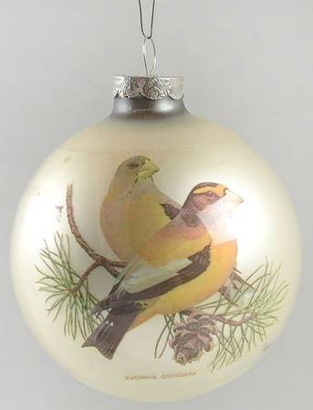 Birds Evening Grosbeak - Boxed