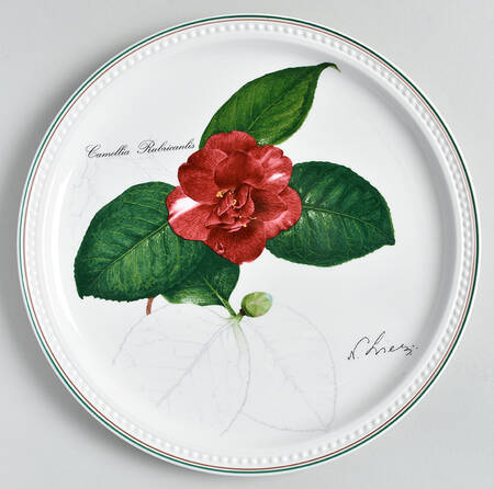 Septfontaines Castle's Greenhouse 2000-Camellia Rubricanlis - No Box