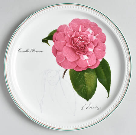 Septfontaines Castle's Greenhouse 1998-Camellia Bruccana - No Box