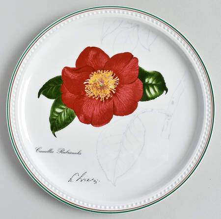 Septfontaines Castle's Greenhouse 1996-Camellia Rubrcanlis - No Box