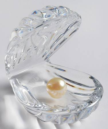 Treasures of The Sea Shell - With Box
