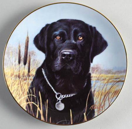 Great American Sporting Dogs by Woodmere
