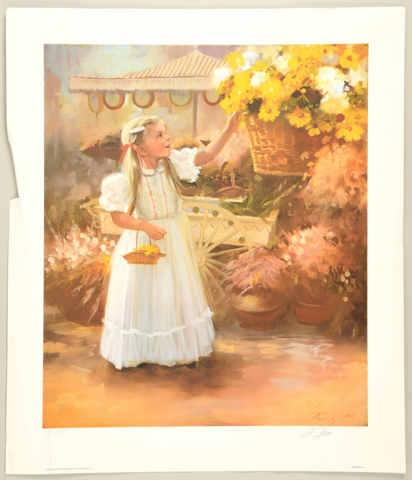 Donald Zolan Art Prints Sabine's Delight - No Box