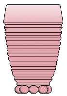 Manhattan Pink