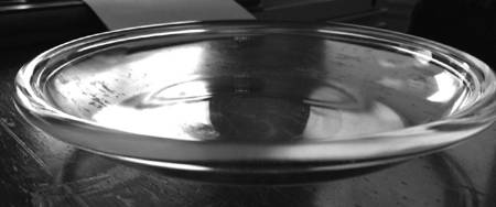 Cocoon Clear 8" Salad Plate