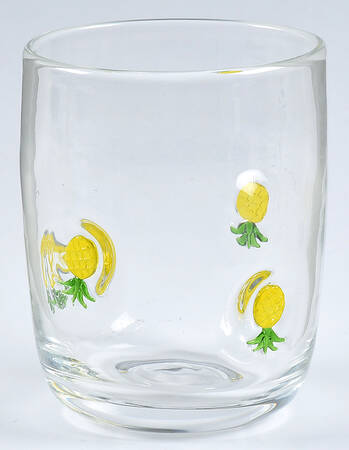 Pineapple Welcome 14 Oz Flat Tumbler