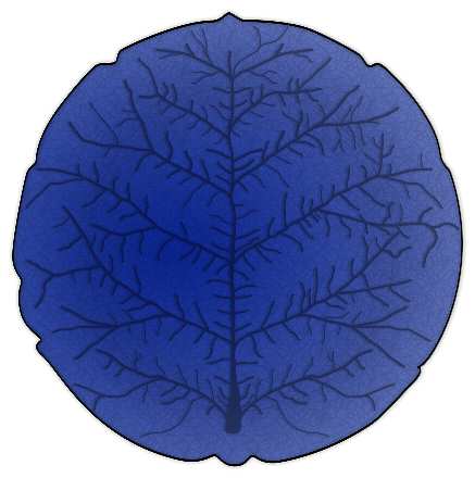 Aspen Blue
