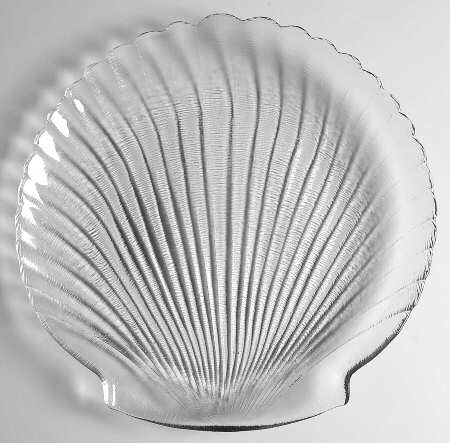 Coquillage 13" Shell Platter