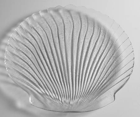 Coquillage 12" Shell Platter