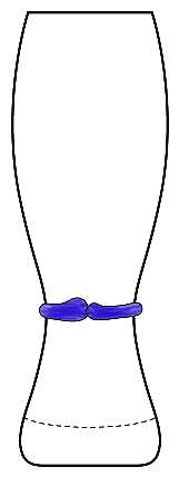 Centro Purple