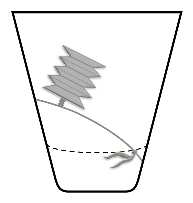 Cinska Tumbler for Nite Set
