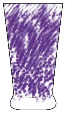 Trilogy Violet by Block