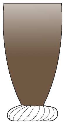 Pirouette Brown by Bryce
