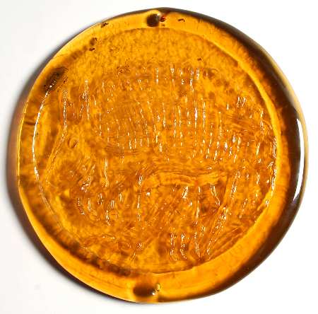 Animals & Figurines #65H Armadillo Decorative Disk