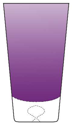 Tao Amethyst