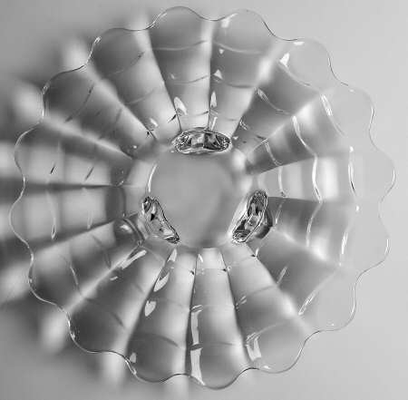 Cascade Clear 12" 3-Toed Plate