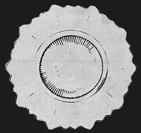 Martha Clear Martha/126 13" Torte Plate