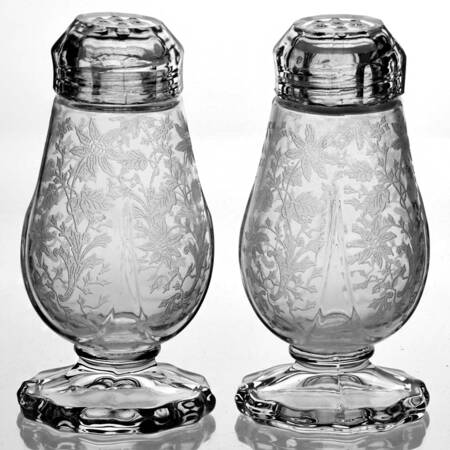 Wildflower Clear 3400/77 Footed Shaker Set with Glass Lids by Cambridge