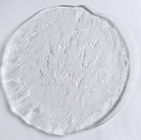 Orion Dinner Plate