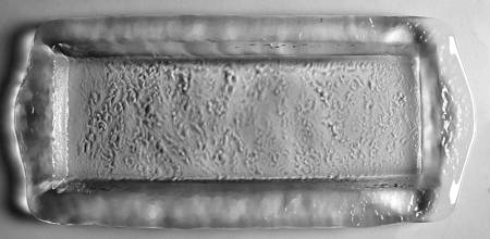 Orion 12" Rectangular Platter