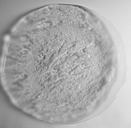 Orion 14" Round Platter