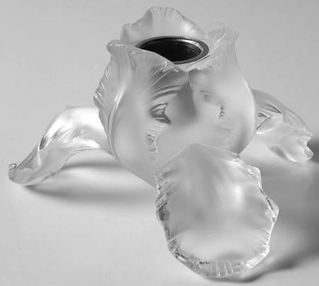 Iris by Lalique