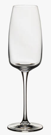 Isabel Fluted Champagne