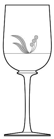 Bistro Clear (Flower and Band)