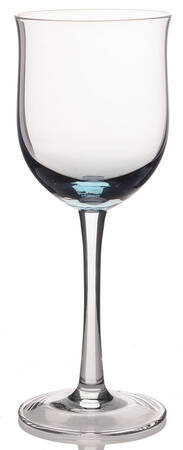 Tjorn Blue Wine Glass
