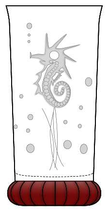 Seahorse Ruby (Line 502) by Duncan &amp; Miller