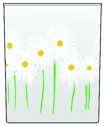 Wildflowers