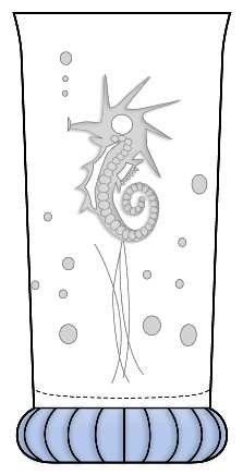 Seahorse Light Blue by Duncan &amp; Miller