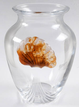 Seashell 7" Flower Vase