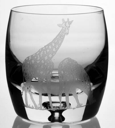 African Wildlife Double Old Fashioned