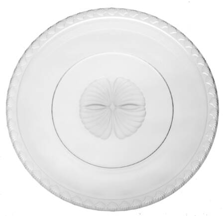 Captiva Clear (Frosted Shell) Luncheon Plate