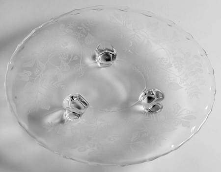 Lacy Leaf 3-Toed Tidbit