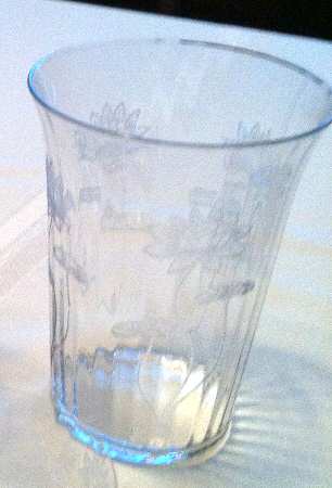 Lotus Clear (Optic, Stem 766, Etch 232) 9 Oz Flat Tumbler