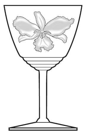 Orchid (Stem #892)