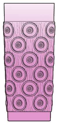 Inca Pink by Fostoria
